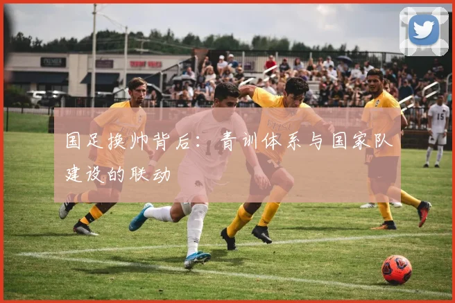 国足换帅背后:青训体系与国家队建设的联动