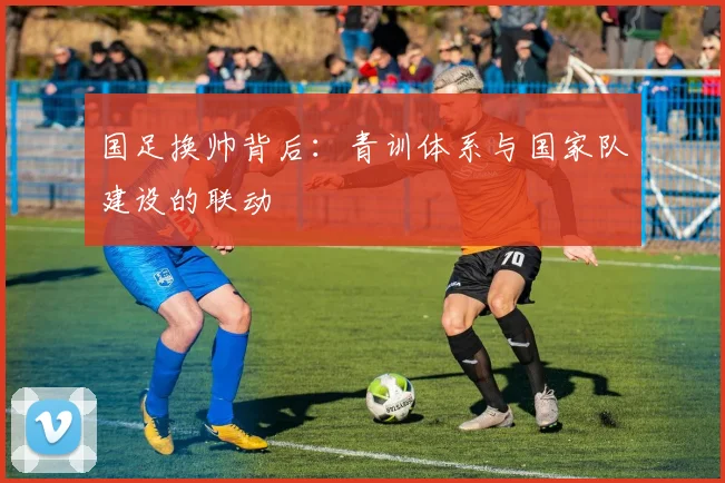 国足换帅背后：青训体系与国家队建设的联动